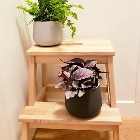 : D'exception - Batignolles Apartment Paris